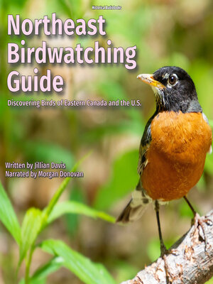 cover image of Northeast Birdwatching Guide